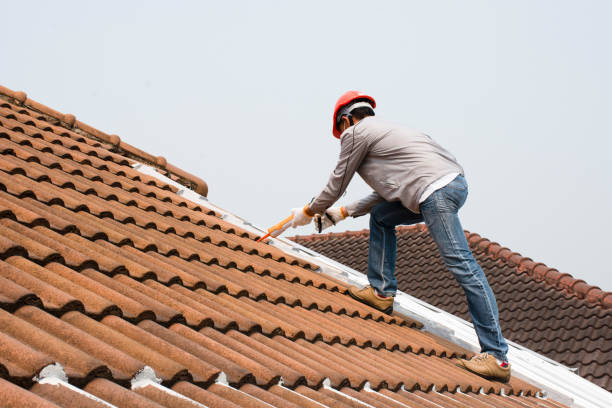 Best Roof Installation  in Carrollwood, FL